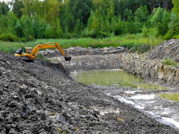 Cost of Fish Pond Digging in Murphy