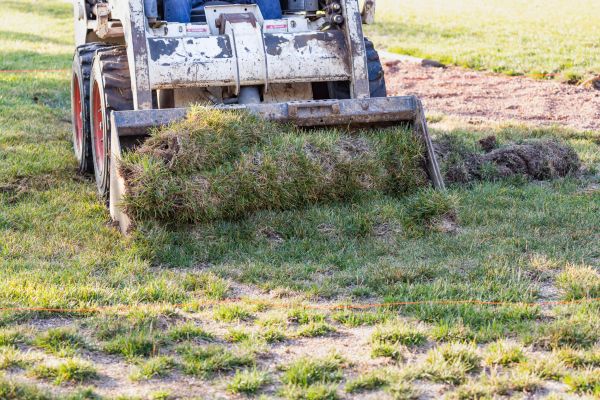 Cost of Landscape Leveling in Murphy