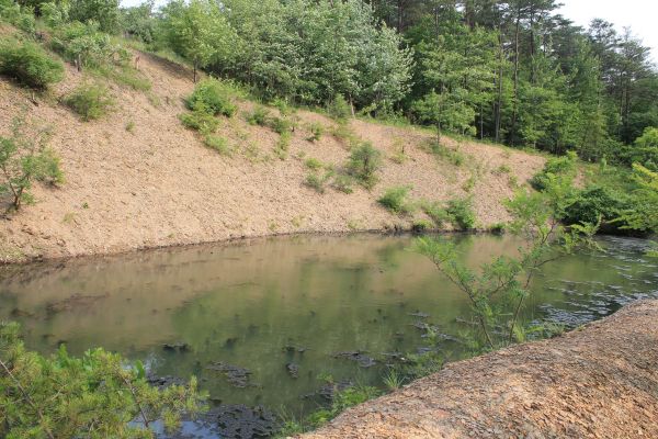 Pond Erosion Repair in Murphy
