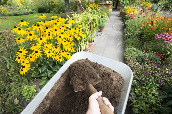 Topsoil Installation in Murphy