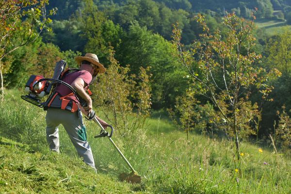 Cost of Slope Trimming in Murphy